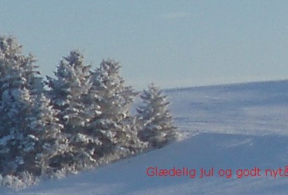 Glædelig jul 2013